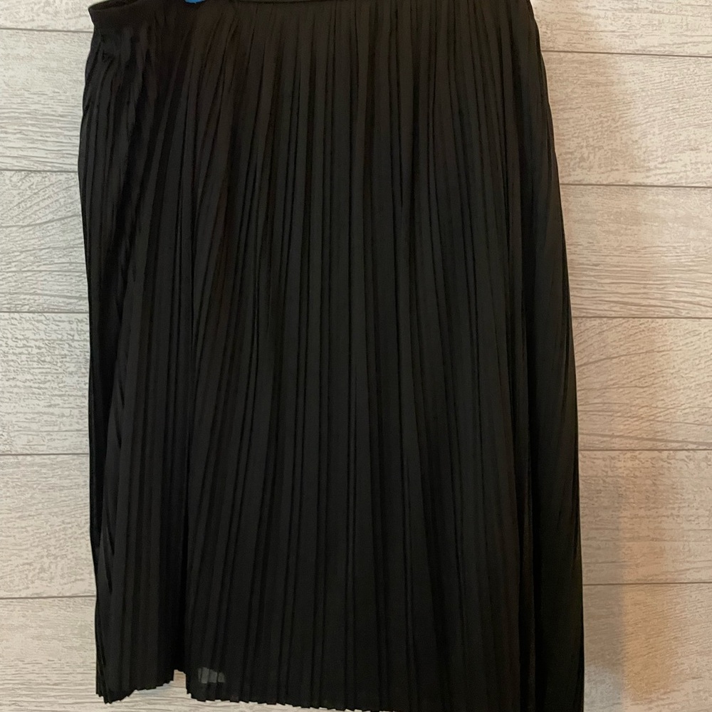Elegant Black Pleated Skirt